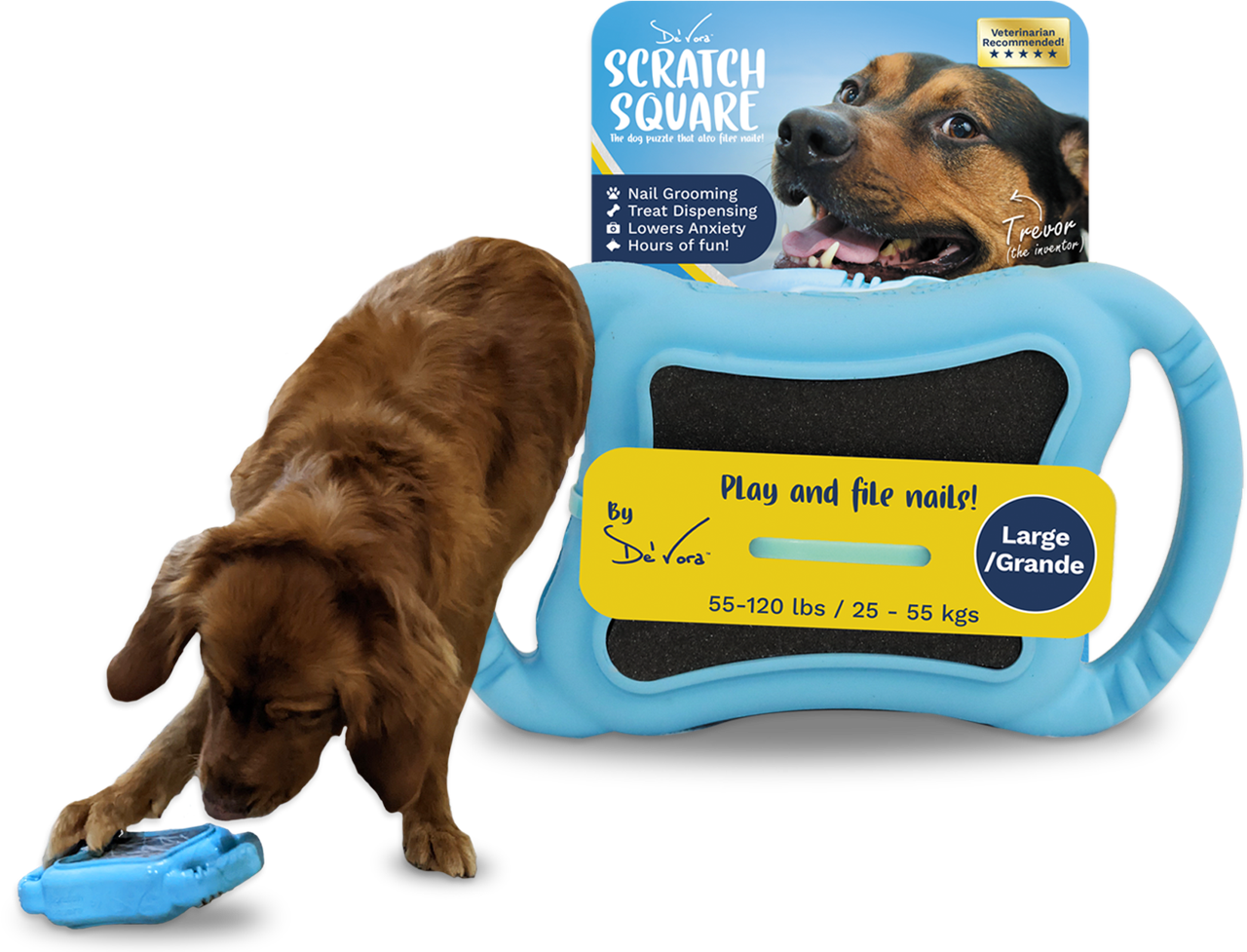 Large pet sale stores near me